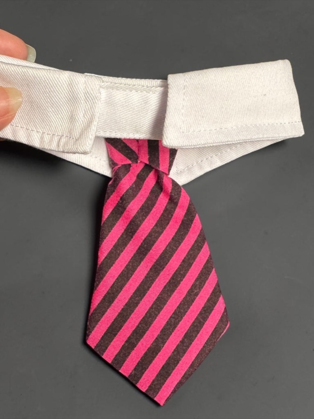 Dog Bow Tie Collar Hot Pink Black Stripe Adjustable Pet Tie NWOT - Picture 4 of 16
